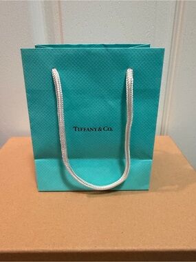 Tiffany & Co. Blue Paper Gift Bag with White Rope Handles